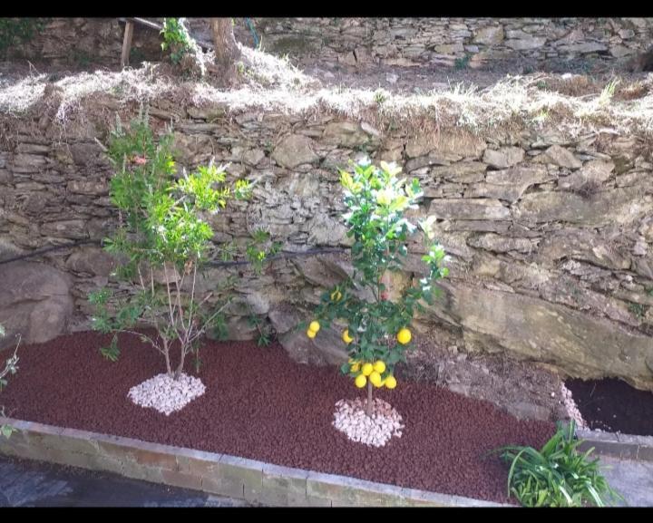 Home Green Poggio Favaro-San Bernardo Exterior photo